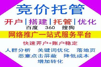 深入解析SEM竞价托管的成功案例